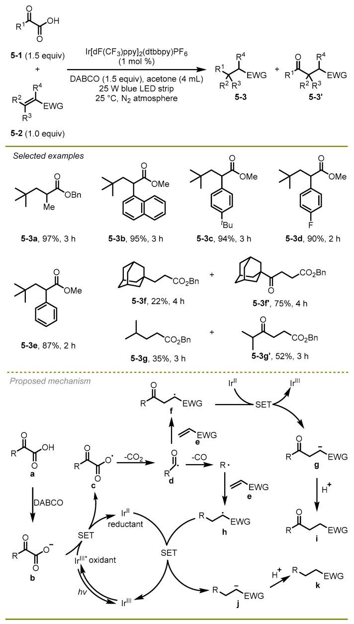 https://cdn.ncbi.nlm.nih.gov/pmc/blobs/f05c/11357500/3fcfa63cdf1b/molecules-29-03904-sch005.jpg