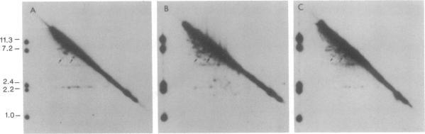 https://cdn.ncbi.nlm.nih.gov/pmc/blobs/f062/53668/f4f26b0f33ca/pnas01031-0234-b.jpg