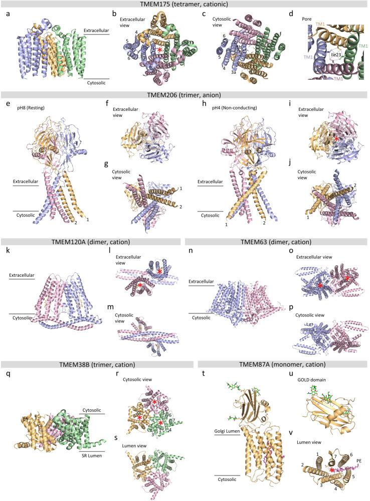 https://cdn.ncbi.nlm.nih.gov/pmc/blobs/f063/11059273/e0026ca53e4c/12276_2024_1206_Fig1_HTML.jpg