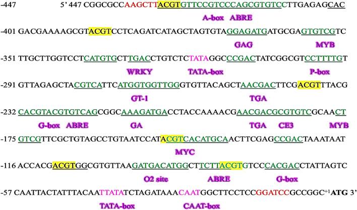 https://cdn.ncbi.nlm.nih.gov/pmc/blobs/f063/11176371/98bb14d8e39c/41598_2024_64537_Fig2_HTML.jpg