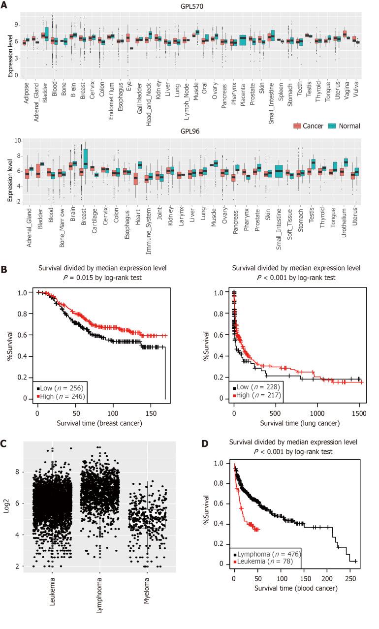 https://cdn.ncbi.nlm.nih.gov/pmc/blobs/f065/11135246/7cd5e606acec/WJSC-16-538-g006.jpg