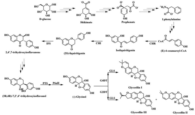 https://cdn.ncbi.nlm.nih.gov/pmc/blobs/f065/11548433/1d1bdaf648eb/plants-13-03036-g001.jpg