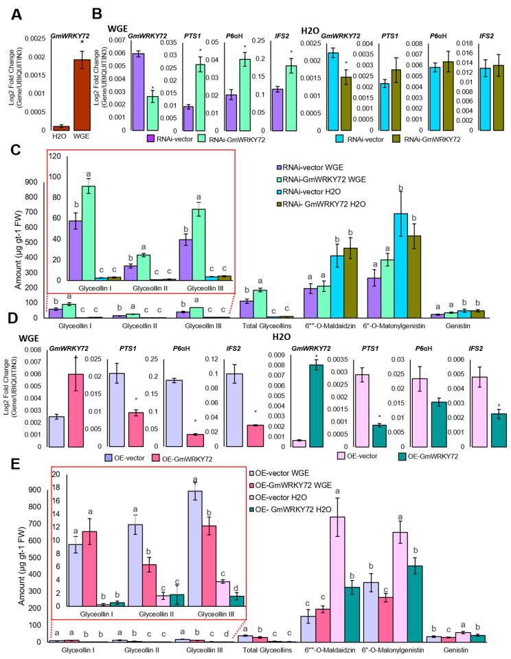 https://cdn.ncbi.nlm.nih.gov/pmc/blobs/f065/11548433/b0d2c664d8af/plants-13-03036-g003.jpg