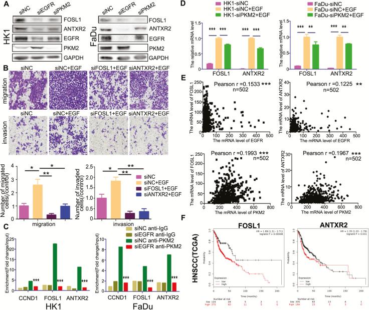 https://cdn.ncbi.nlm.nih.gov/pmc/blobs/f065/7351130/098eab2367e6/bgz180f0006.jpg