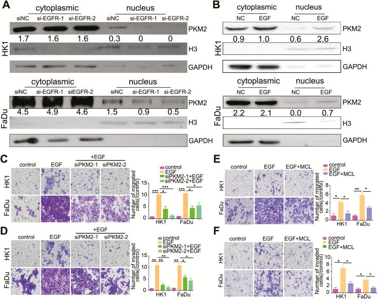https://cdn.ncbi.nlm.nih.gov/pmc/blobs/f065/7351130/3901aa4076a0/bgz180f0004.jpg