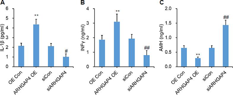 https://cdn.ncbi.nlm.nih.gov/pmc/blobs/f066/10865665/091f86713363/13048_2024_1363_Fig6_HTML.jpg