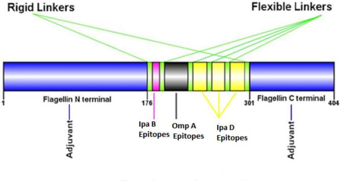 https://cdn.ncbi.nlm.nih.gov/pmc/blobs/f066/11438873/2198209d09dc/41598_2024_73105_Fig1_HTML.jpg