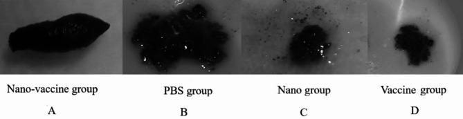 https://cdn.ncbi.nlm.nih.gov/pmc/blobs/f066/11438873/2d857cc53404/41598_2024_73105_Fig9_HTML.jpg