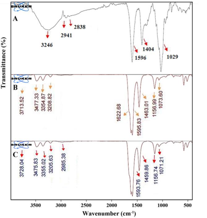 https://cdn.ncbi.nlm.nih.gov/pmc/blobs/f066/11438873/6874fe6f2f89/41598_2024_73105_Fig5_HTML.jpg