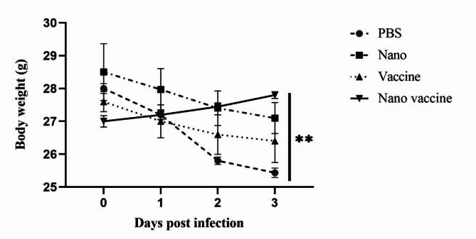 https://cdn.ncbi.nlm.nih.gov/pmc/blobs/f066/11438873/f5c26f109fae/41598_2024_73105_Fig8_HTML.jpg
