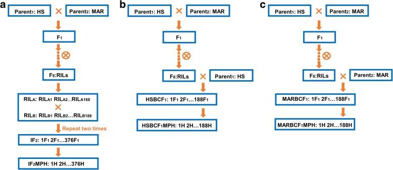 https://cdn.ncbi.nlm.nih.gov/pmc/blobs/f067/6292039/6c64d76e5740/12864_2018_5289_Fig1_HTML.jpg