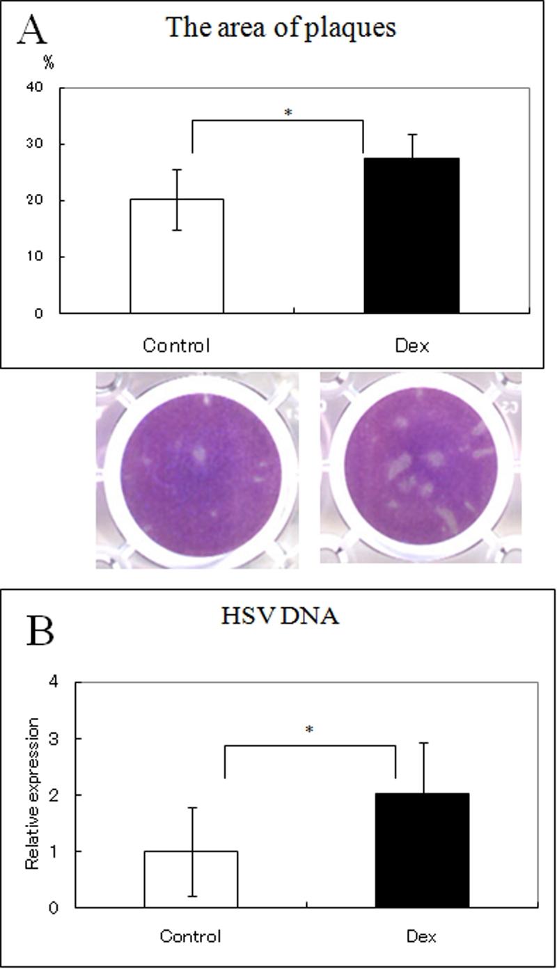 https://cdn.ncbi.nlm.nih.gov/pmc/blobs/f068/2683030/e08ed952d95e/mv-v15-937-f7.jpg