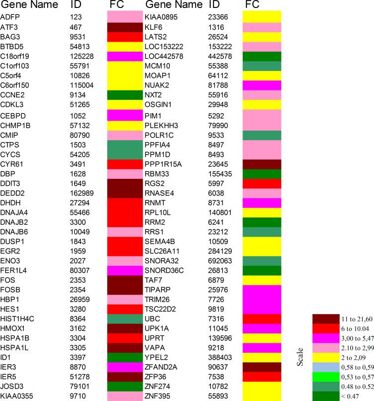 https://cdn.ncbi.nlm.nih.gov/pmc/blobs/f06a/8238076/5ba3044f7ac0/OTT-14-3849-g0005.jpg