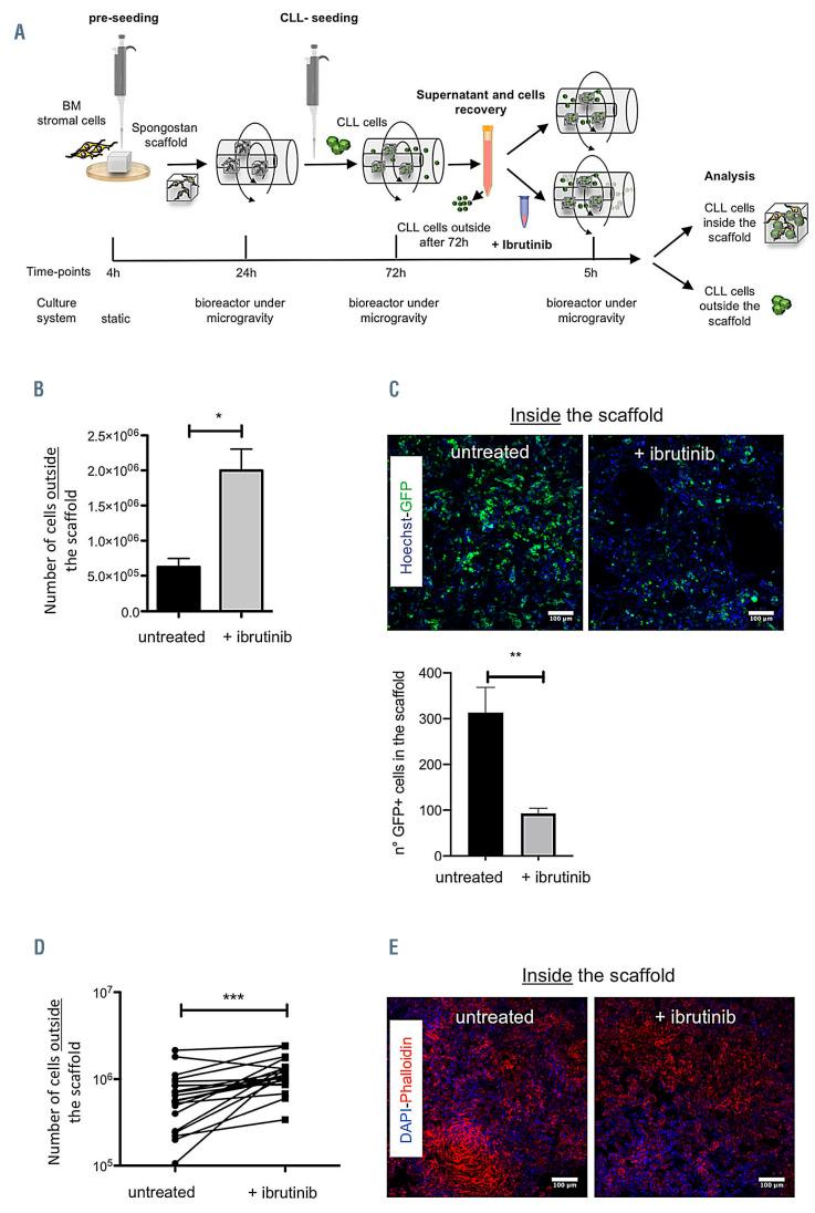 https://cdn.ncbi.nlm.nih.gov/pmc/blobs/f06b/8409046/49b2cf087c5f/1062334.fig4.jpg