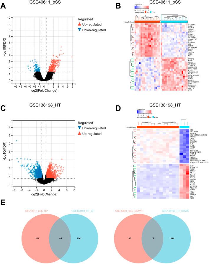 https://cdn.ncbi.nlm.nih.gov/pmc/blobs/f06c/12069379/299e7700546d/fgene-16-1520332-g002.jpg