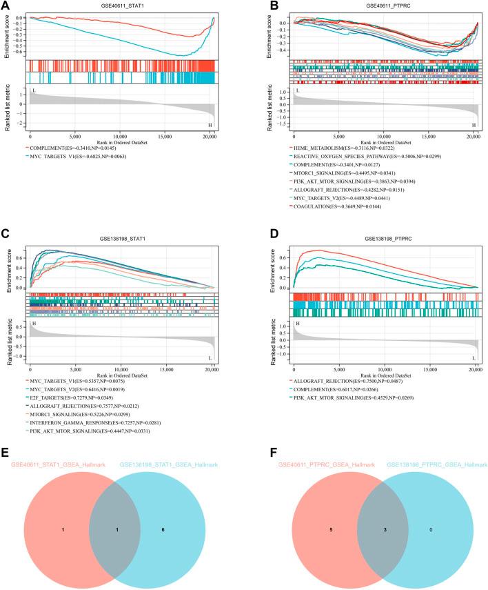 https://cdn.ncbi.nlm.nih.gov/pmc/blobs/f06c/12069379/397b57a75055/fgene-16-1520332-g007.jpg