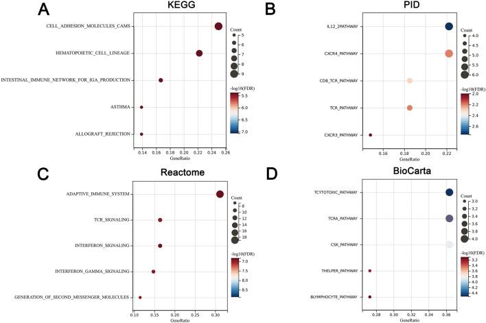 https://cdn.ncbi.nlm.nih.gov/pmc/blobs/f06c/12069379/6caa7bad1a68/fgene-16-1520332-g003.jpg