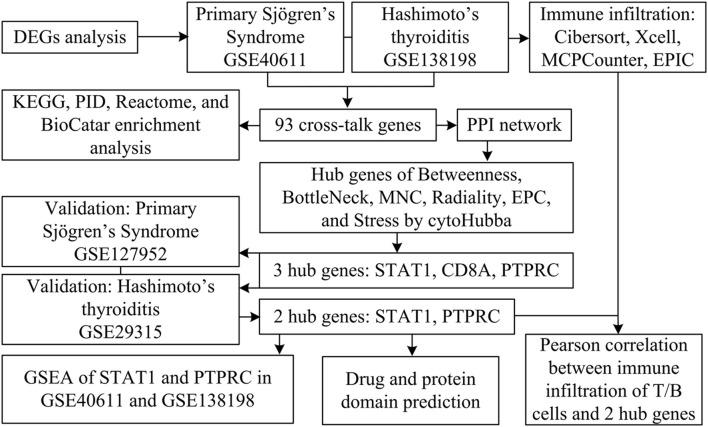 https://cdn.ncbi.nlm.nih.gov/pmc/blobs/f06c/12069379/a5518211fa8f/fgene-16-1520332-g001.jpg