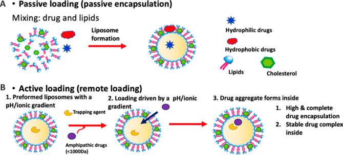 https://cdn.ncbi.nlm.nih.gov/pmc/blobs/f06d/11691476/eaa2db630805/NRR-20-1883-g003.jpg