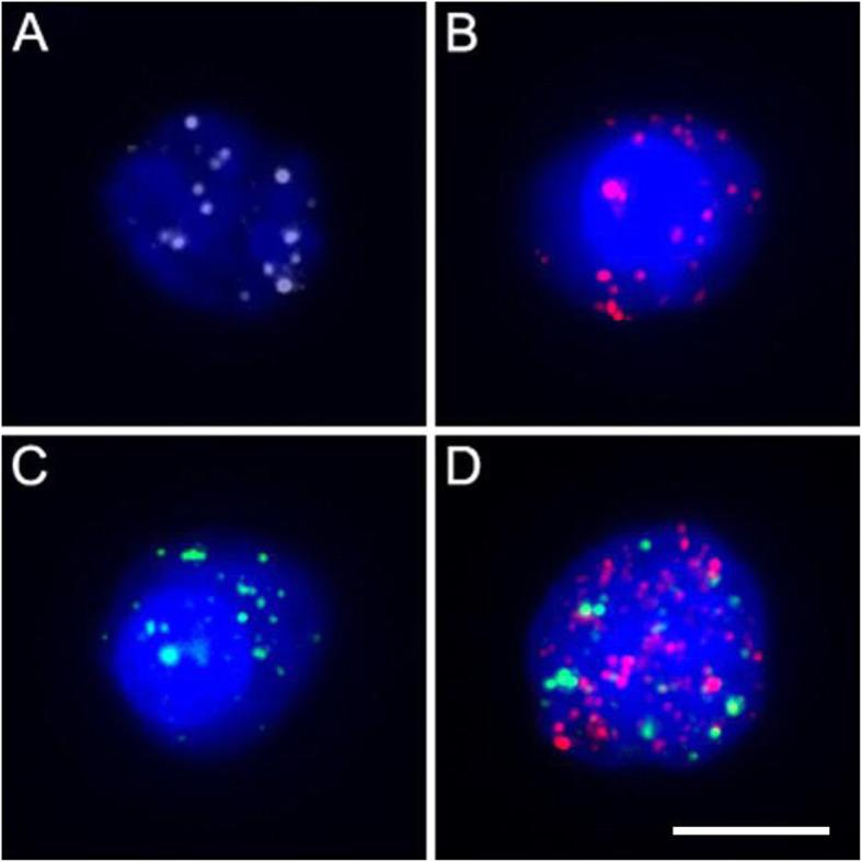 https://cdn.ncbi.nlm.nih.gov/pmc/blobs/f06d/7576719/e5d34fa949d7/12890_2020_1314_Fig1_HTML.jpg