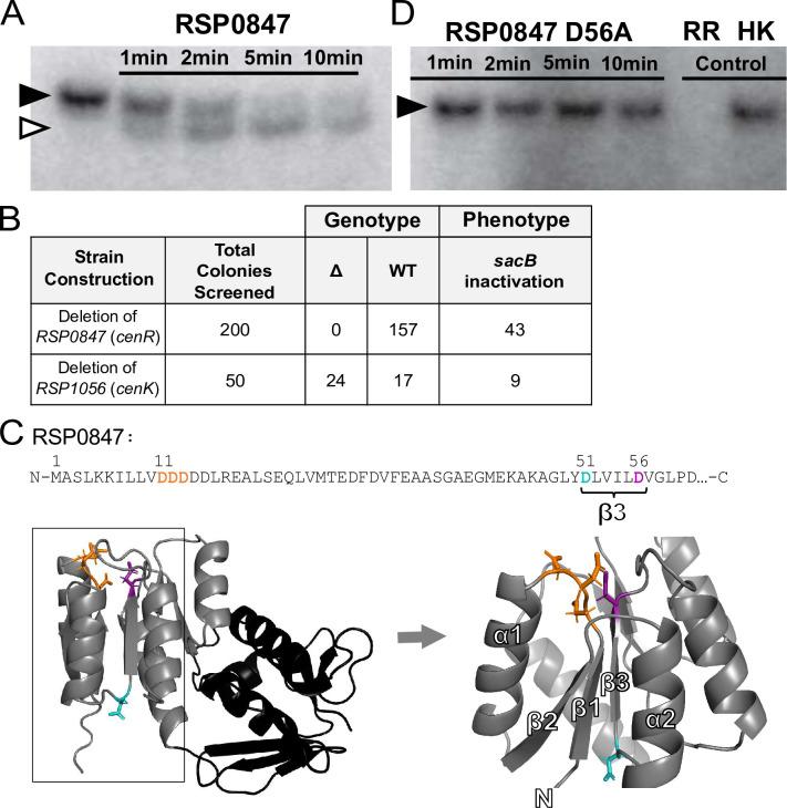 https://cdn.ncbi.nlm.nih.gov/pmc/blobs/f06e/9275681/4eb4697bcf80/pgen.1010270.g001.jpg