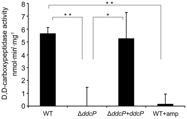 https://cdn.ncbi.nlm.nih.gov/pmc/blobs/f071/3386183/4a5bcd59e0af/pgen.1002804.g005.jpg
