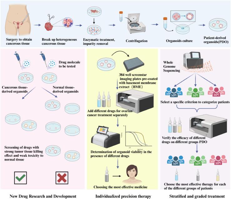 https://cdn.ncbi.nlm.nih.gov/pmc/blobs/f074/11437877/4843ff3674d1/gr1.jpg
