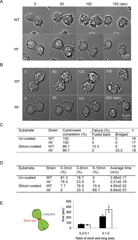 https://cdn.ncbi.nlm.nih.gov/pmc/blobs/f074/3128529/63cbddec6cd1/2270fig3.jpg