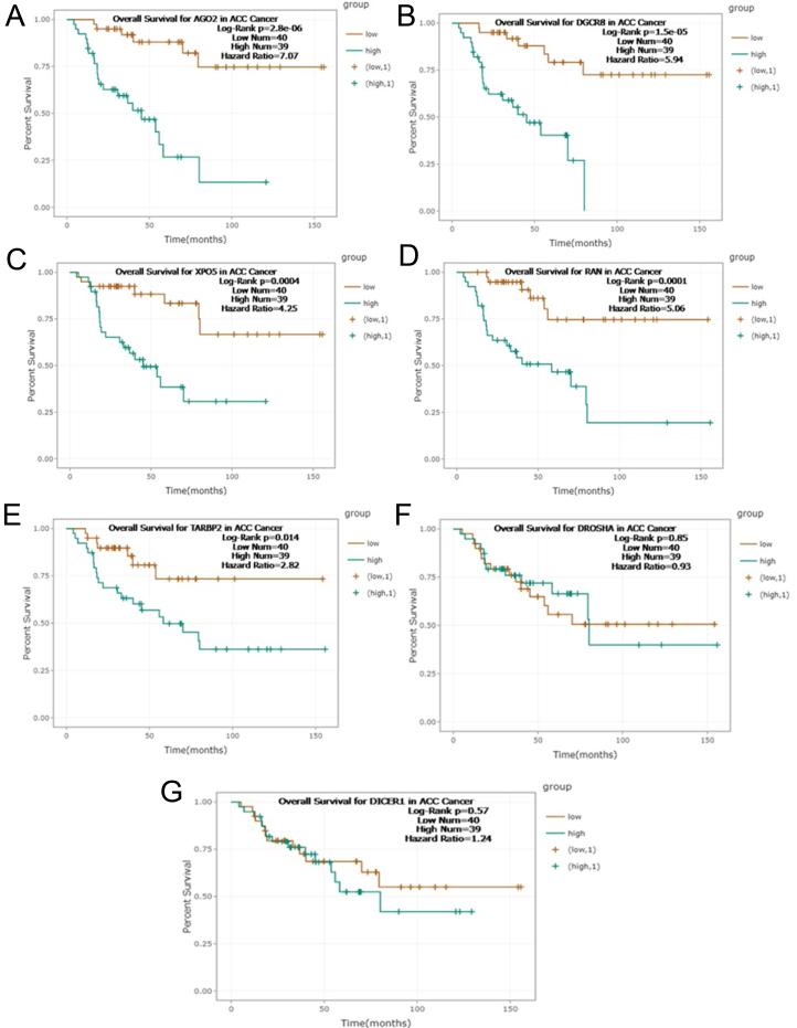 https://cdn.ncbi.nlm.nih.gov/pmc/blobs/f075/11623120/80cd6c1d44e8/ERC-24-0061fig2.jpg