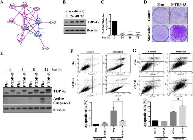 https://cdn.ncbi.nlm.nih.gov/pmc/blobs/f077/5593587/eb0463395f72/oncotarget-08-56612-g002.jpg