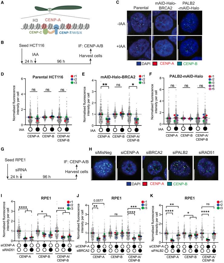 https://cdn.ncbi.nlm.nih.gov/pmc/blobs/f079/11860765/d6b59ab52f08/gr4.jpg