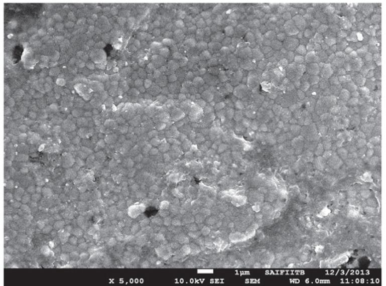 https://cdn.ncbi.nlm.nih.gov/pmc/blobs/f07b/4279043/6bb5858a0905/jap-6-456-g005.jpg