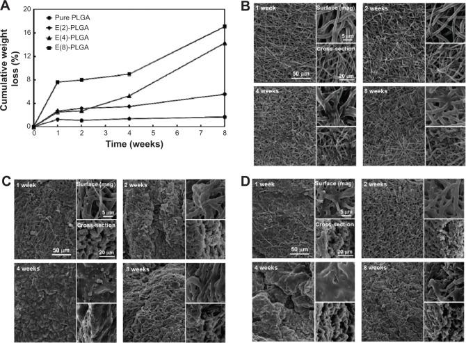 https://cdn.ncbi.nlm.nih.gov/pmc/blobs/f07c/4149440/e7b1ea15a28c/ijn-9-4067Fig2.jpg