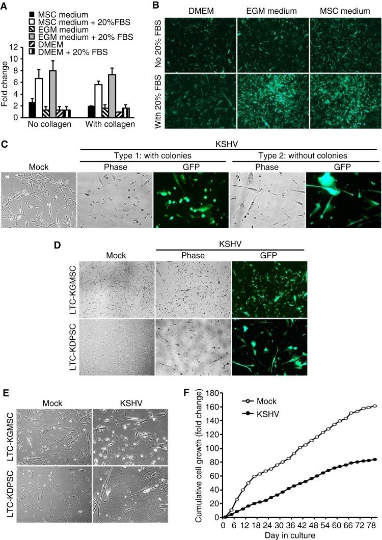 https://cdn.ncbi.nlm.nih.gov/pmc/blobs/f07e/4742711/000ae9cf0ff4/mbo0011626330003.jpg