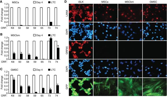 https://cdn.ncbi.nlm.nih.gov/pmc/blobs/f07e/4742711/b555096c206a/mbo0011626330004.jpg