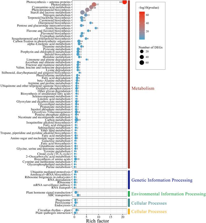 https://cdn.ncbi.nlm.nih.gov/pmc/blobs/f07f/10733416/c0c6e6bf7e10/41598_2023_50352_Fig6_HTML.jpg