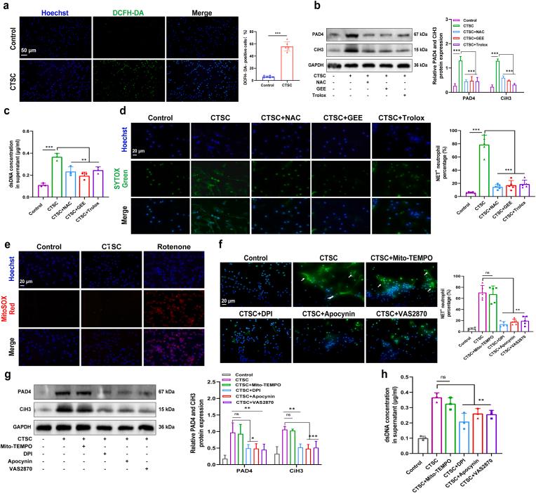https://cdn.ncbi.nlm.nih.gov/pmc/blobs/f081/11209641/0d6861444854/gr5.jpg