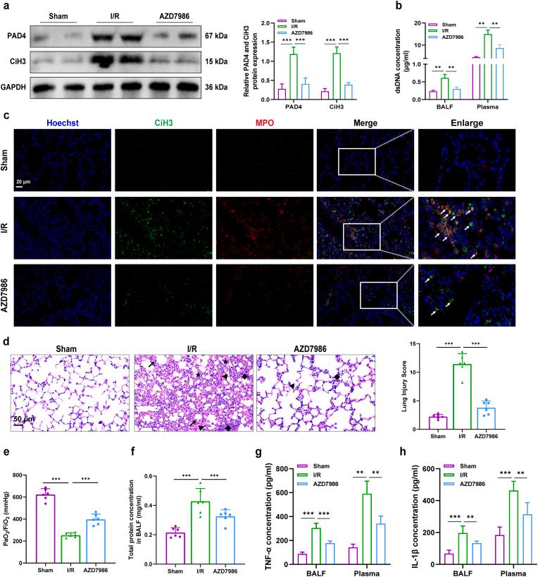https://cdn.ncbi.nlm.nih.gov/pmc/blobs/f081/11209641/1e08e1b39cac/gr8.jpg