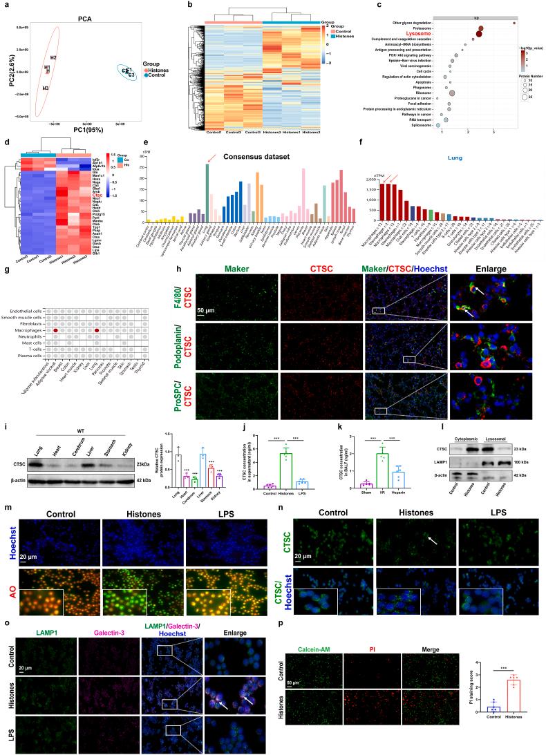 https://cdn.ncbi.nlm.nih.gov/pmc/blobs/f081/11209641/ea2aa70bffa8/gr3.jpg