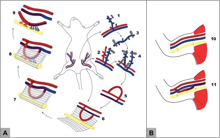 https://cdn.ncbi.nlm.nih.gov/pmc/blobs/f081/5902043/e515a734fbbc/pone.0195692.g003.jpg