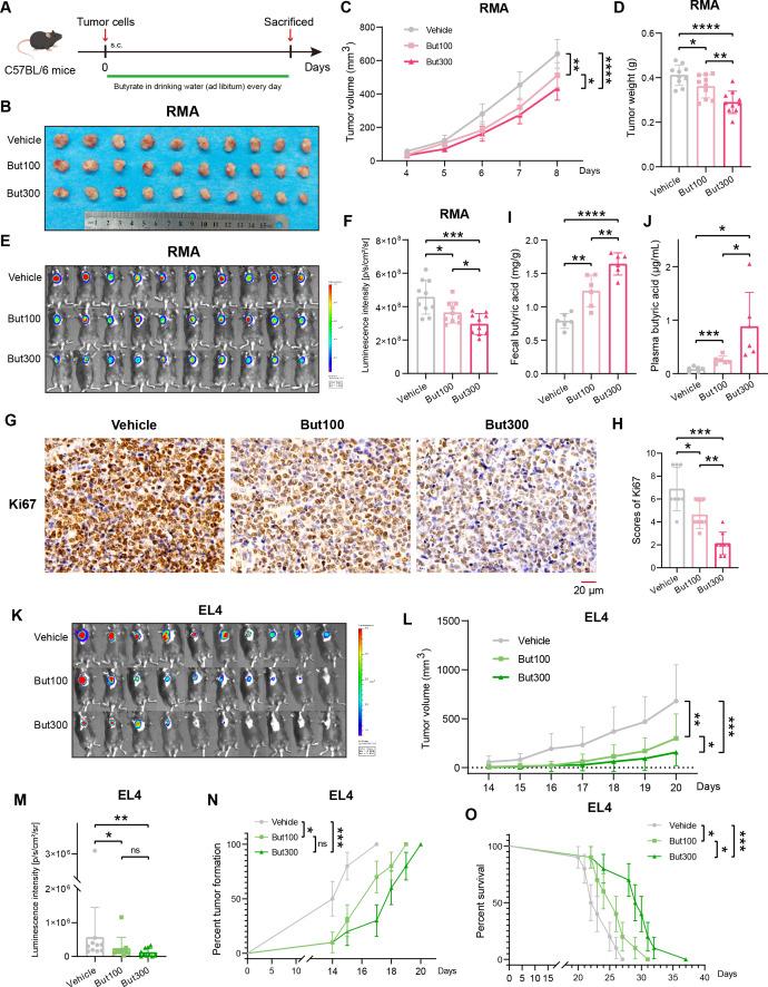 https://cdn.ncbi.nlm.nih.gov/pmc/blobs/f082/12013593/12bd4fb6f23e/gutjnl-74-4-g005.jpg