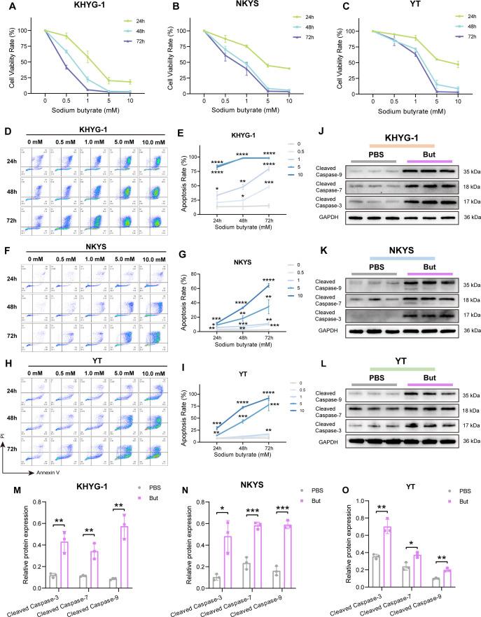 https://cdn.ncbi.nlm.nih.gov/pmc/blobs/f082/12013593/4445f2702529/gutjnl-74-4-g004.jpg