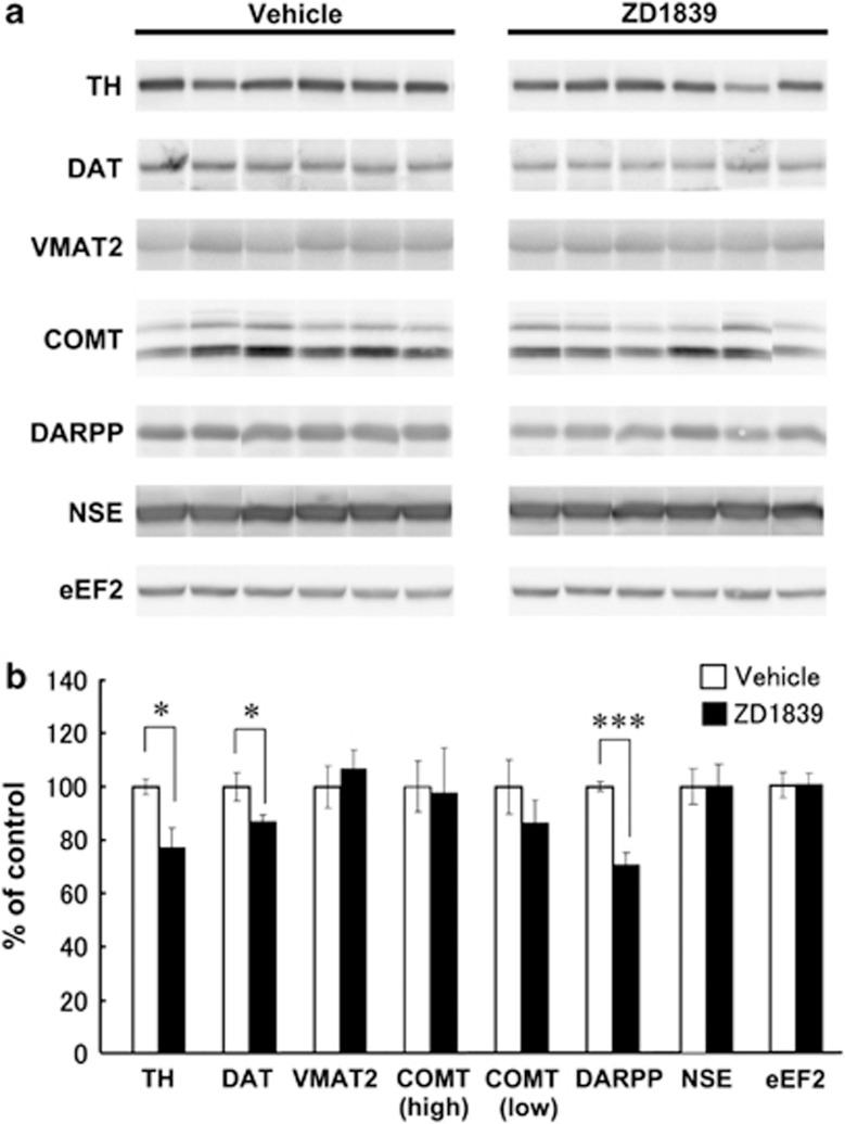 https://cdn.ncbi.nlm.nih.gov/pmc/blobs/f082/3641415/5e74f97e1470/tp201329f6.jpg