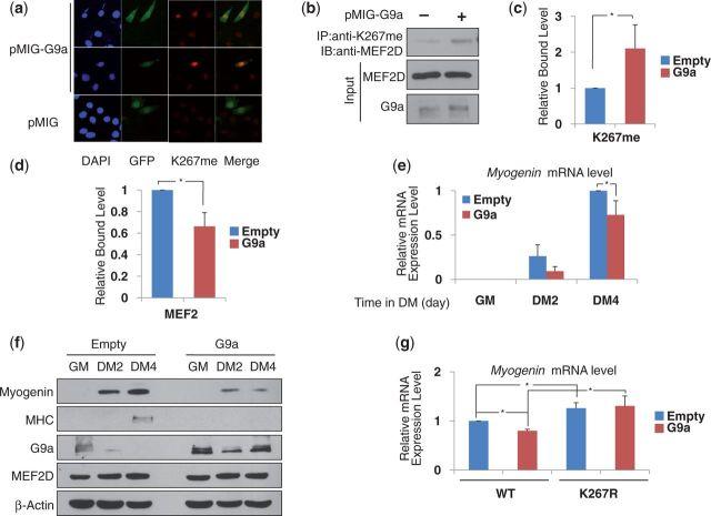 https://cdn.ncbi.nlm.nih.gov/pmc/blobs/f085/3874188/2ceb001826c5/gkt873f6p.jpg