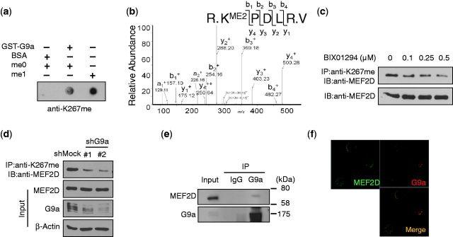 https://cdn.ncbi.nlm.nih.gov/pmc/blobs/f085/3874188/4ef66b1365c9/gkt873f2p.jpg