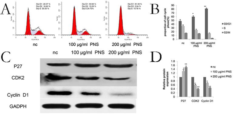 https://cdn.ncbi.nlm.nih.gov/pmc/blobs/f085/8489146/313546e8c789/jcav12p6383g004.jpg