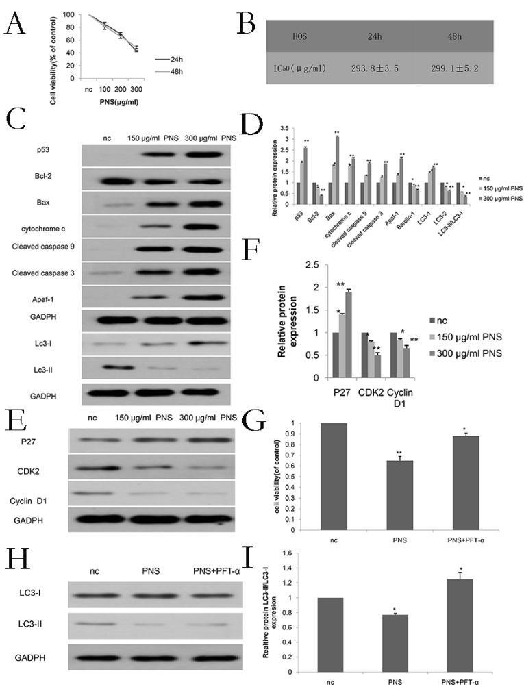https://cdn.ncbi.nlm.nih.gov/pmc/blobs/f085/8489146/7cd60f78ada7/jcav12p6383g006.jpg