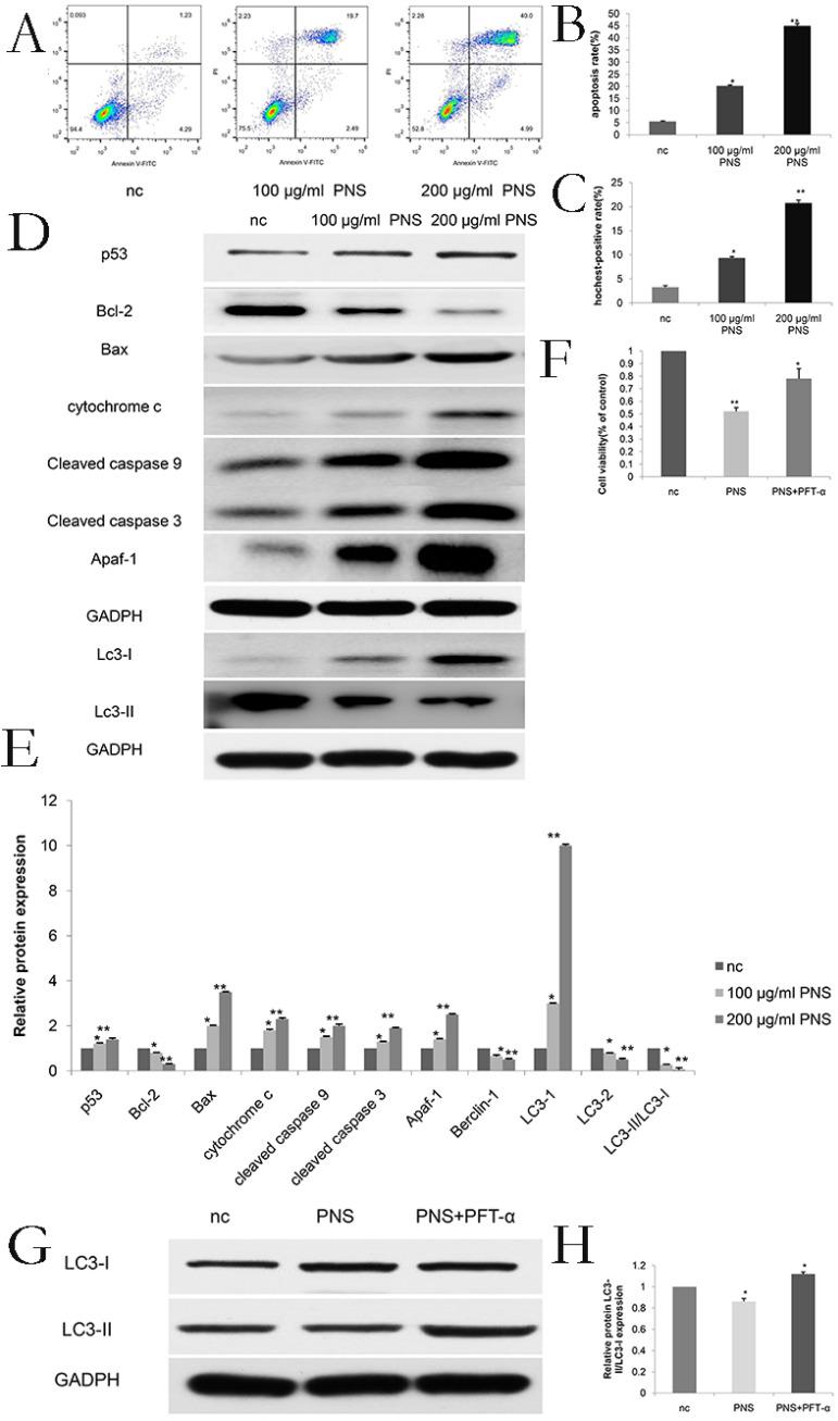 https://cdn.ncbi.nlm.nih.gov/pmc/blobs/f085/8489146/7f5913d08289/jcav12p6383g002.jpg