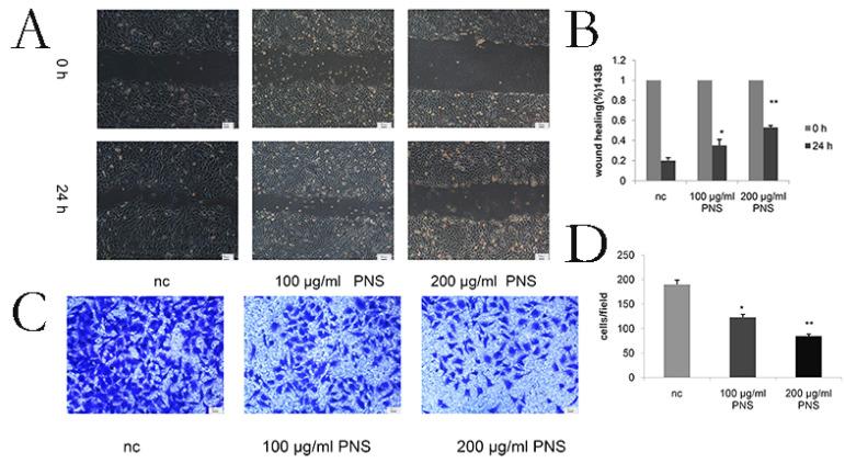https://cdn.ncbi.nlm.nih.gov/pmc/blobs/f085/8489146/f47f259eae19/jcav12p6383g003.jpg