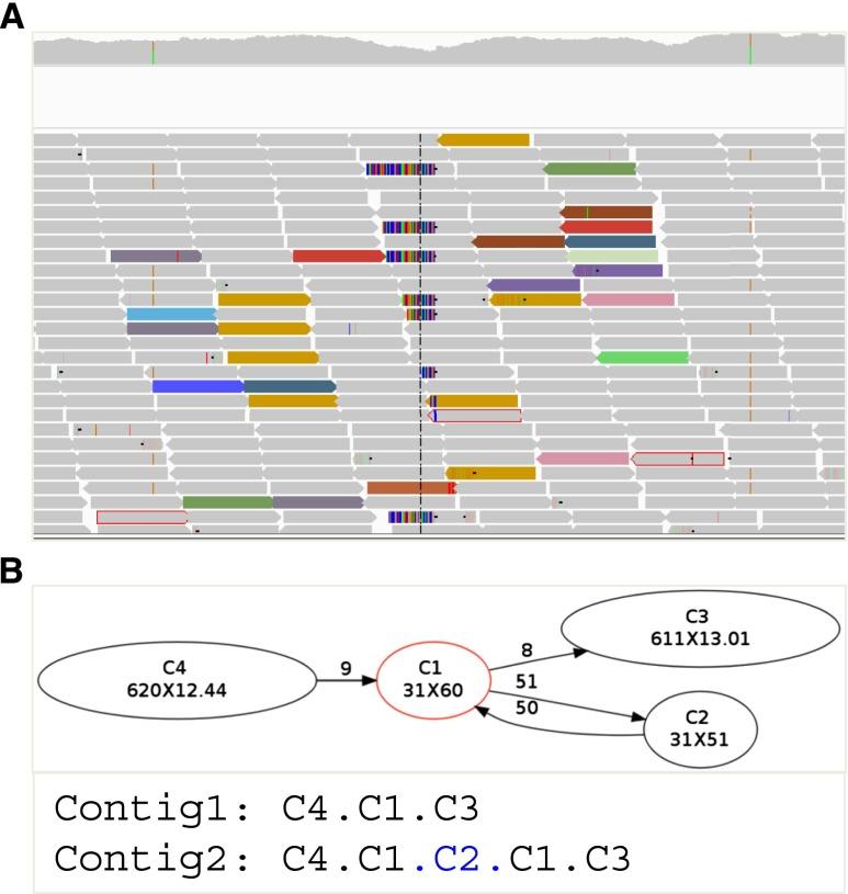 https://cdn.ncbi.nlm.nih.gov/pmc/blobs/f087/3912421/38be0db8327d/310fig1.jpg
